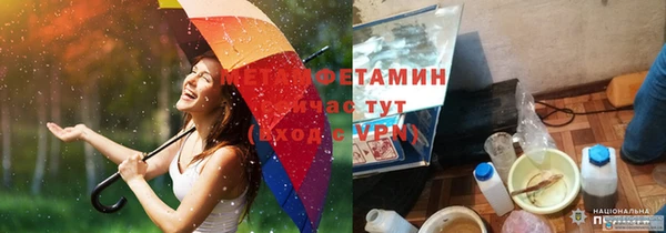 мет Елабуга