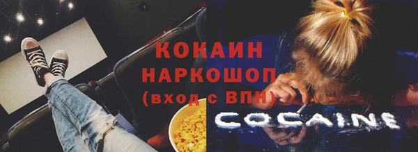 шишки Дмитров