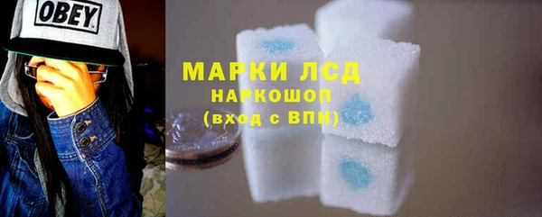 шишки Дмитров